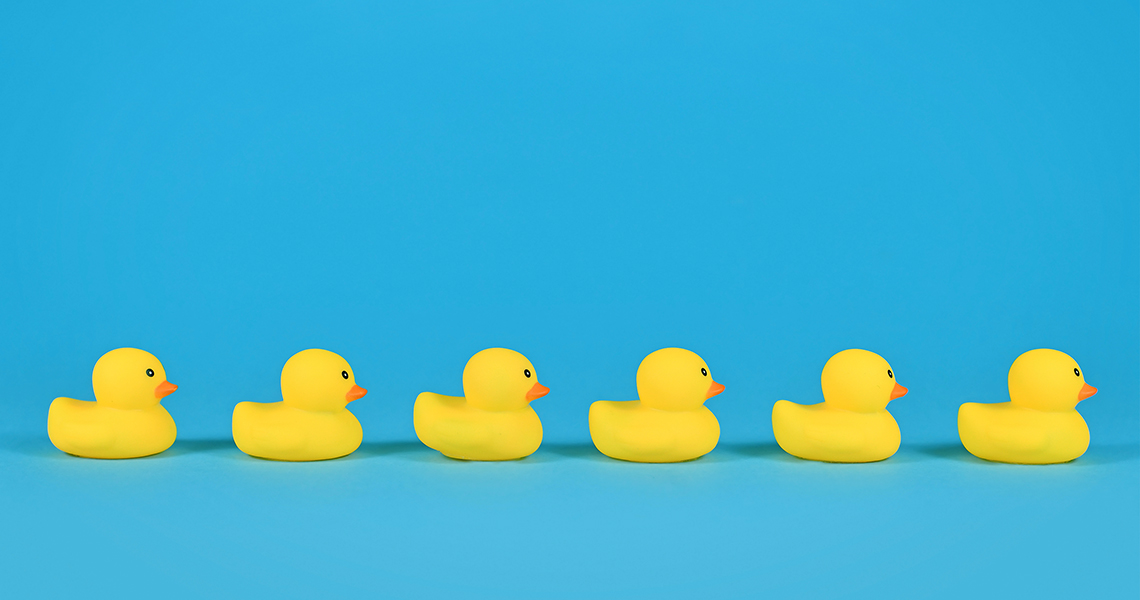 blue background with line of rubber ducks